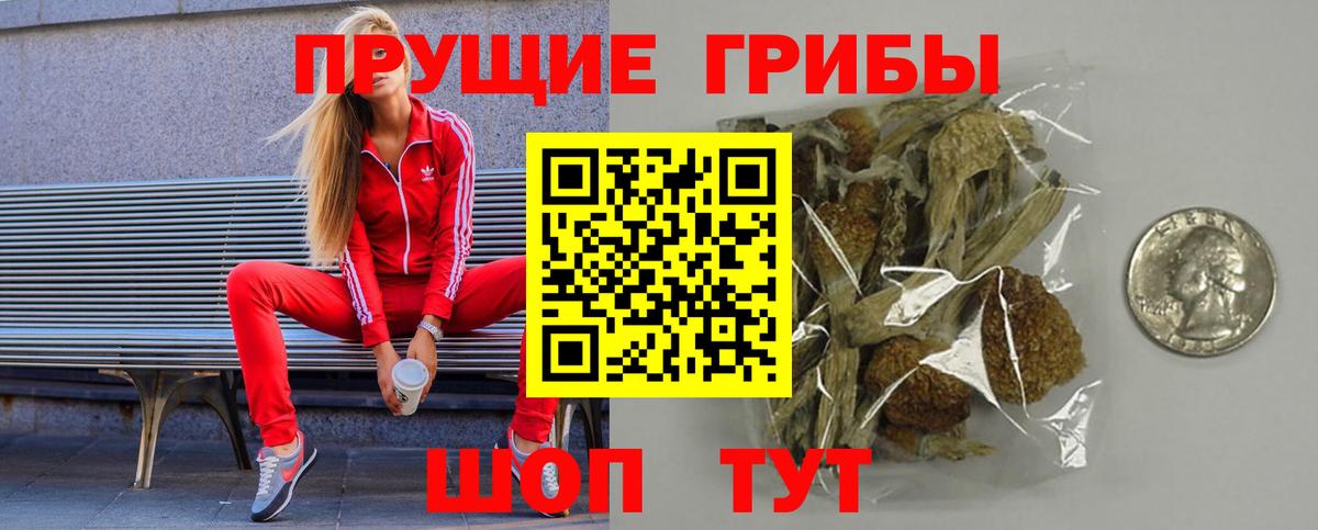 Псилоцибиновые грибы GOLDEN TEACHER  Псилоцибиновые грибы ЛСД  Вход с VPN  Северск 